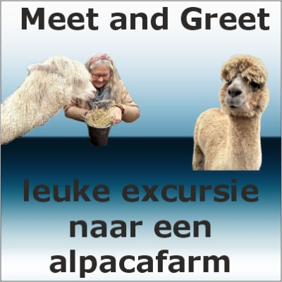 Excursie Alpaca farm